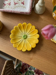 Prato flor Margarida