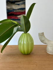 Vaso Opalina